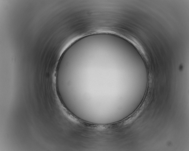 X0000091550814200708171039