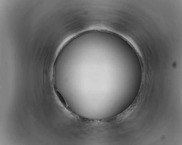 X0000091550815200708171039