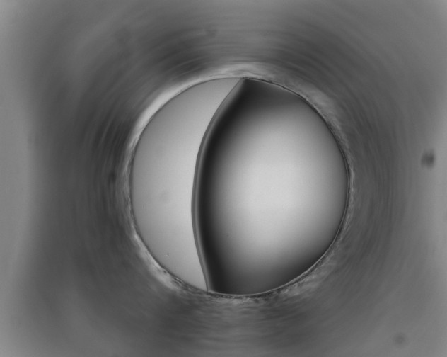 X0000091550816200708171039