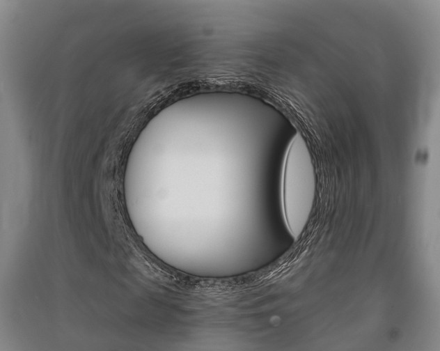 X0000091550817200708171039
