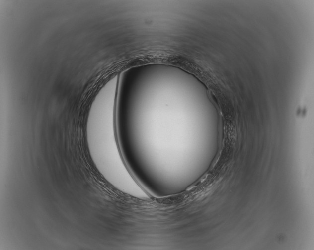 X0000091550818200708171039