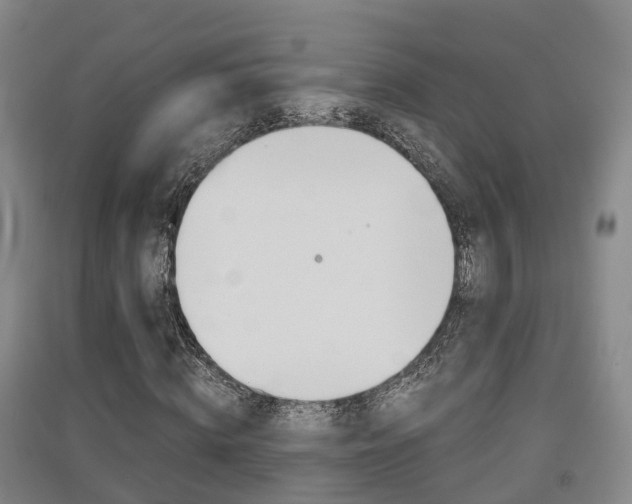 X0000091550820200708171039