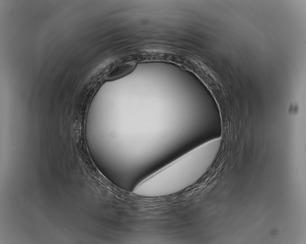 X0000091550821200708171039