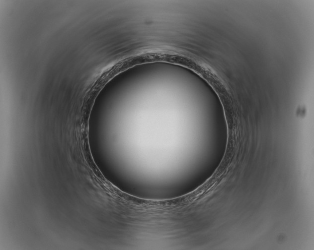 X0000091550822200708171039