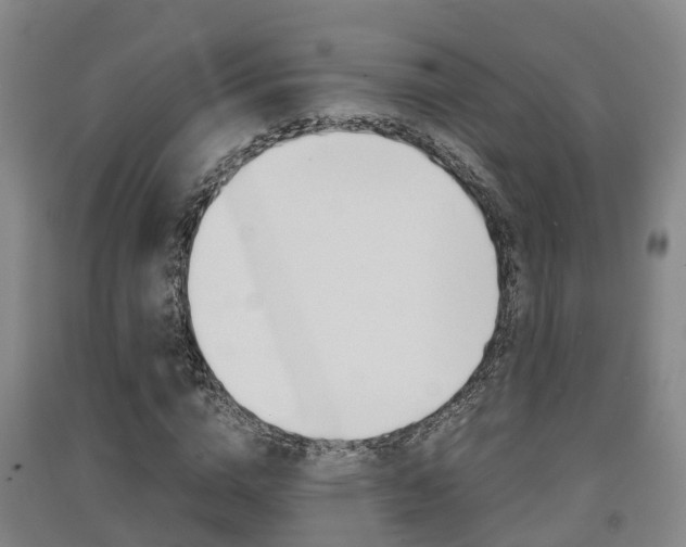 X0000091550824200708171039