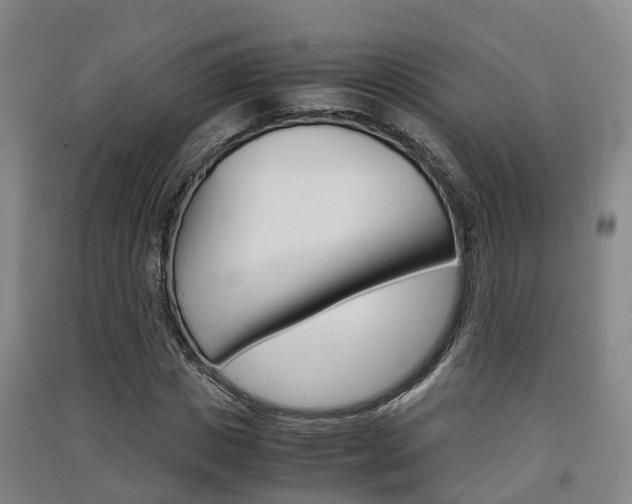X0000091550825200708171039