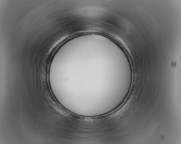 X0000091550827200708171039