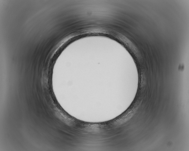 X0000091550828200708171039