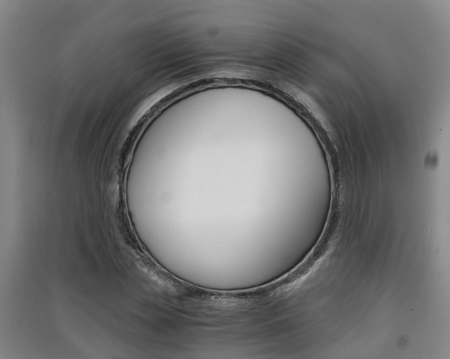 X0000091550829200708171039