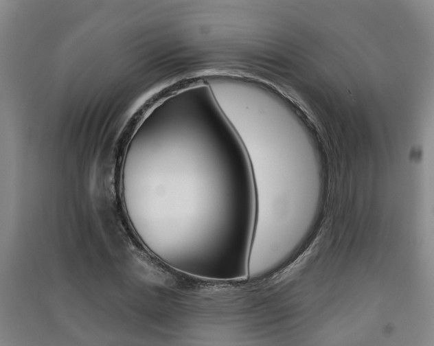X0000091550830200708171039