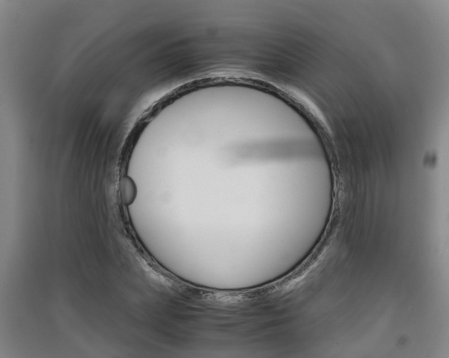 X0000091550831200708171039