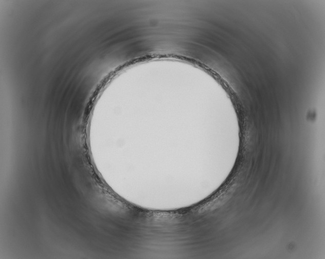 X0000091550832200708171039