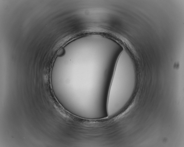 X0000091550833200708171039