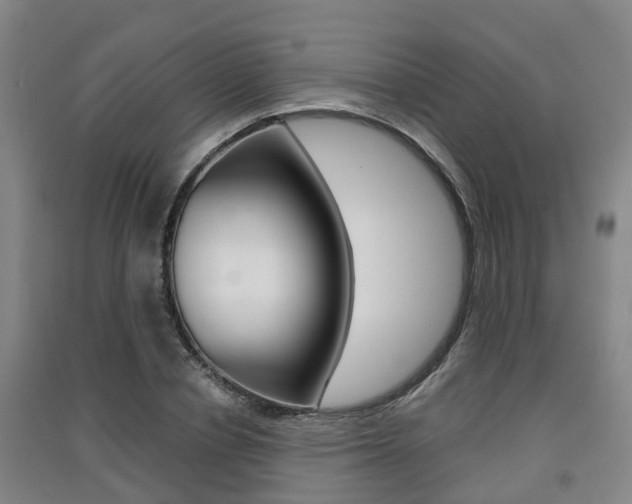 X0000091550834200708171039