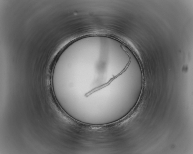 X0000091550835200708171039