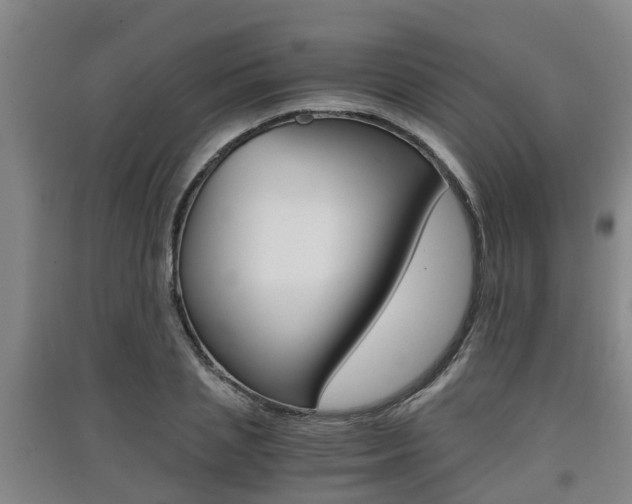 X0000091550837200708171039