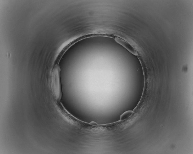 X0000091550838200708171039