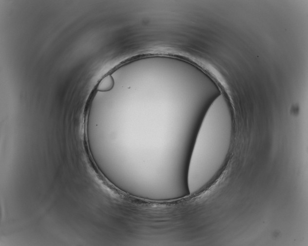 X0000091550839200708171039
