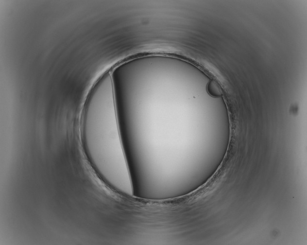X0000091550840200708171039