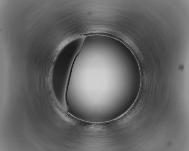 X0000091550842200708171039