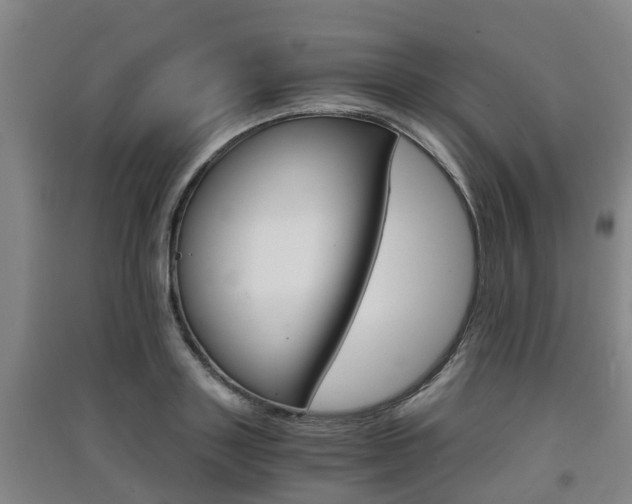 X0000091550843200708171039