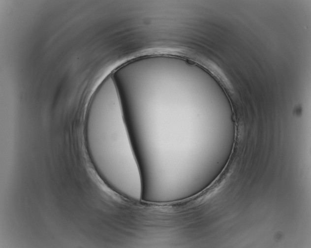 X0000091550844200708171039