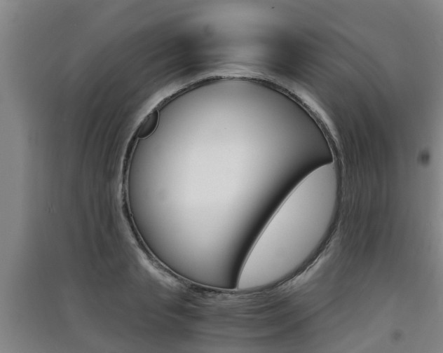X0000091550845200708171039