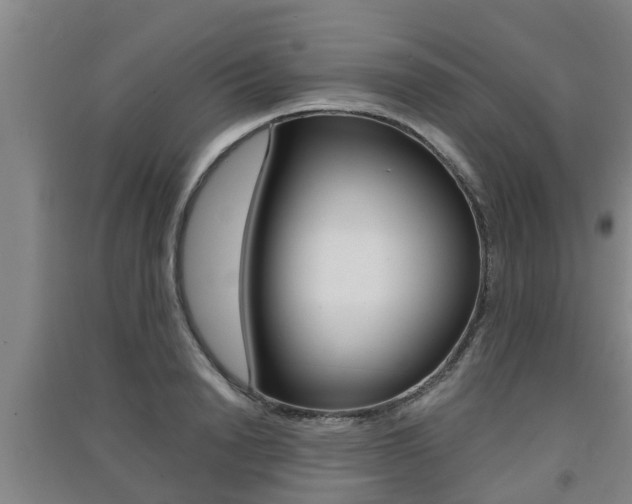 X0000091550846200708171039