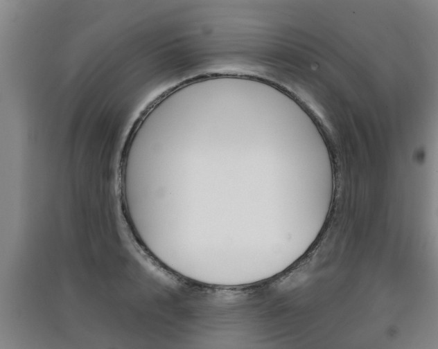 X0000091550848200708171039