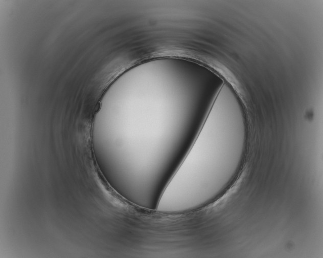 X0000091550849200708171039