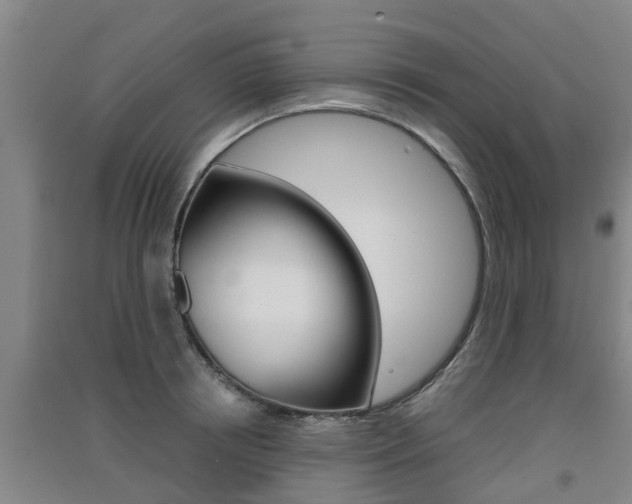 X0000091550850200708171039