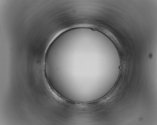 X0000091550852200708171039