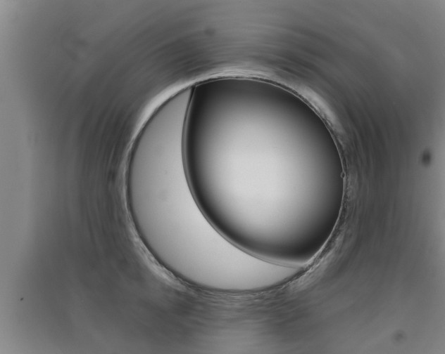 X0000091550854200708171039