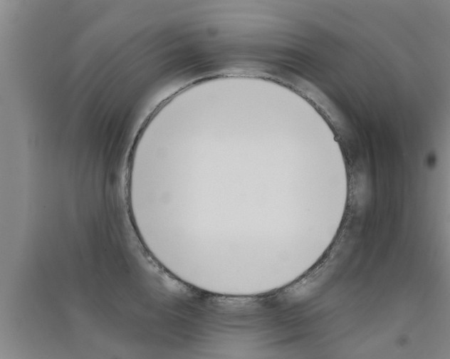 X0000091550856200708171039