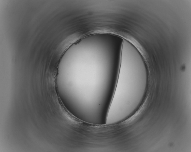 X0000091550857200708171039