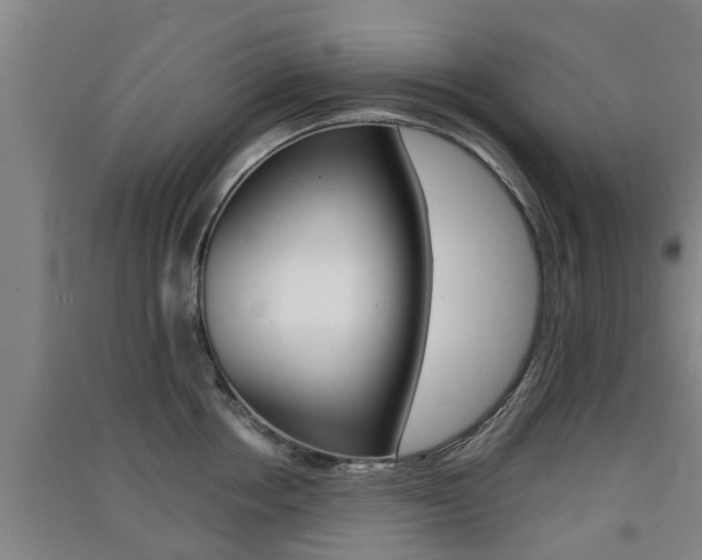 X0000091550858200708171039