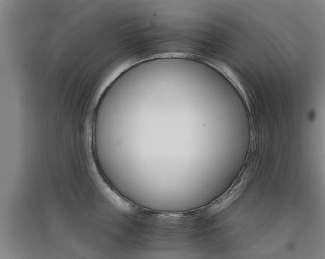 X0000091550859200708171039
