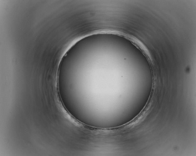 X0000091550860200708171039