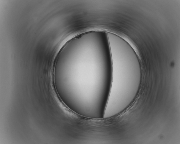 X0000091550861200708171039