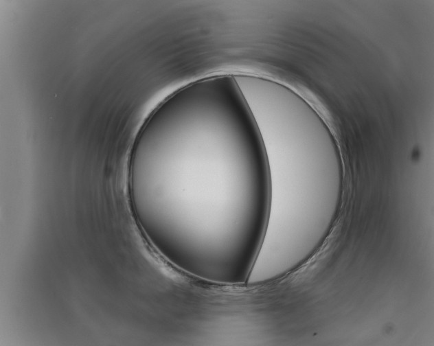 X0000091550862200708171039