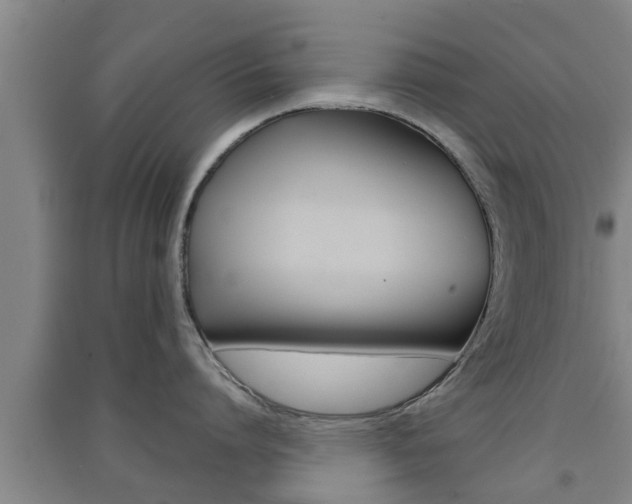 X0000091550864200708171039