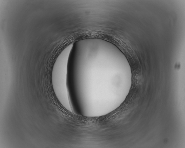 X0000091550865200708171039