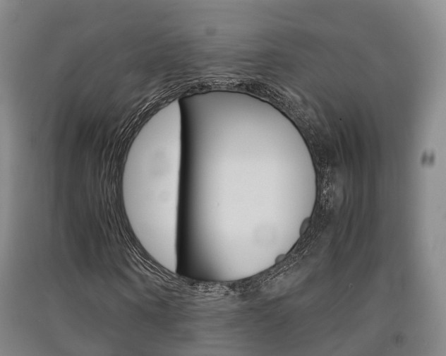 X0000091550866200708171039