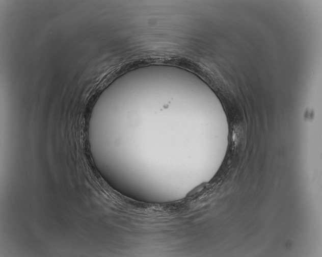 X0000091550867200708171039