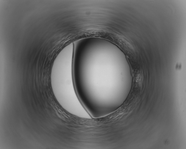 X0000091550868200708171039