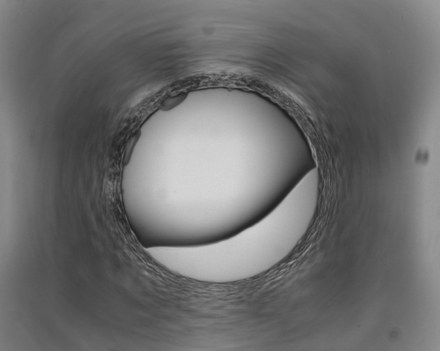 X0000091550869200708171039