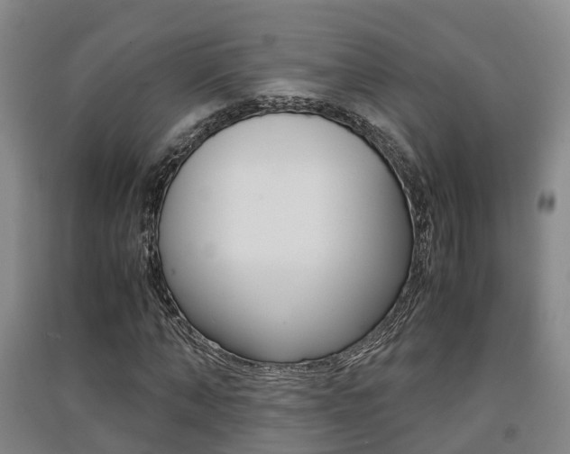 X0000091550870200708171039