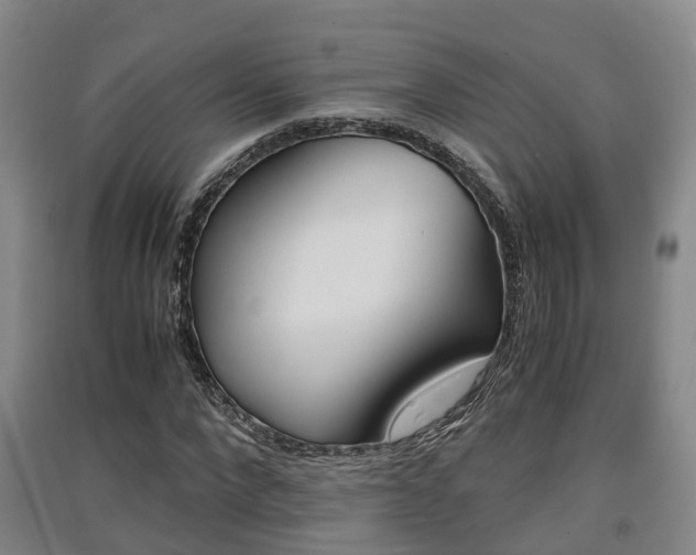 X0000091550872200708171039