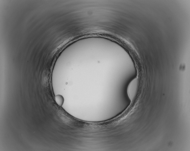X0000091550873200708171039