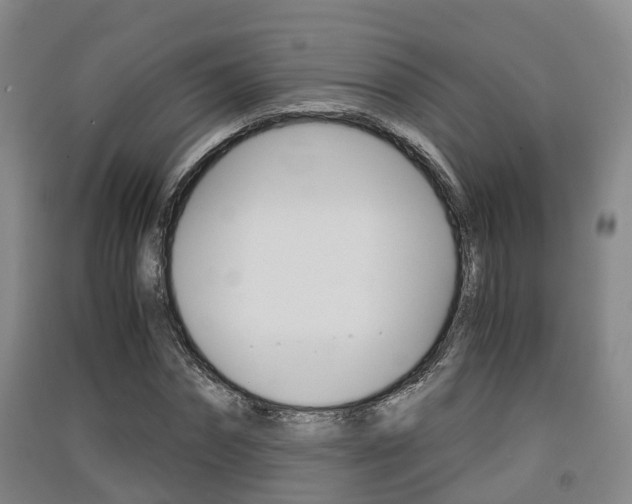 X0000091550874200708171039